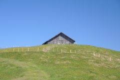 DSCN1547