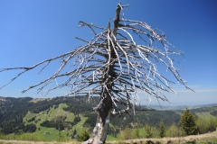 DSCN1559