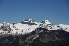 DSCN1571