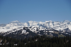 DSCN1572