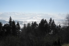 DSCN1622
