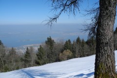 DSCN1626