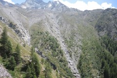DSCN2306