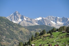 DSCN0954