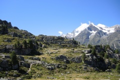 DSCN0960