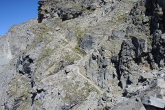DSCN0984