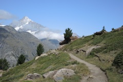 DSCN1723