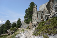 DSCN1726