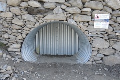 DSCN1728