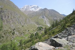 DSCN1731