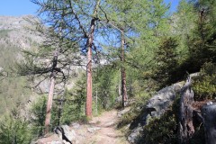 DSCN1738