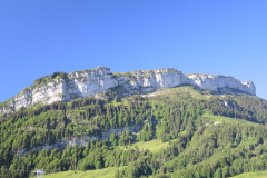 DSCN4640