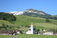 DSCN4641