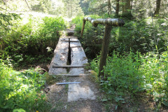 DSCN4649