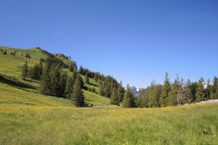 DSCN4654