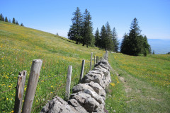 DSCN4656