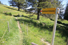 DSCN4658