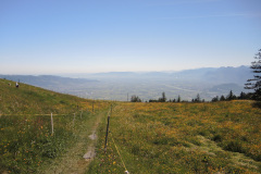 DSCN4660