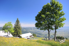 DSCN4665