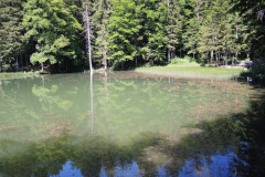 DSCN4668