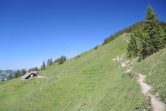DSCN4675