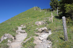 DSCN4676