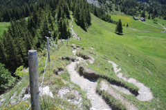 DSCN4678