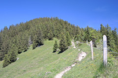DSCN4680
