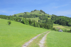 DSCN4694