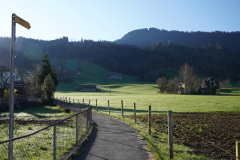 DSC00529