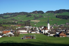 DSC00534
