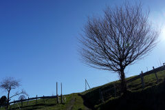 DSC00541