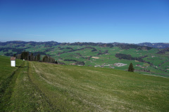 DSC00545