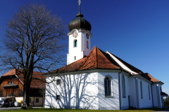 DSC00559