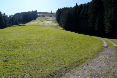 DSC00570