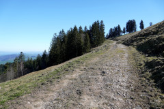 DSC00573