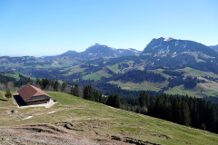 DSC00591