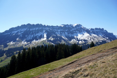 DSC00592