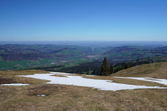 DSC00596