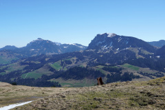 DSC00598