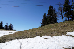 DSC00629