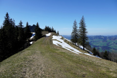 DSC00630