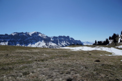 DSC00637