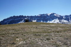 DSC00638