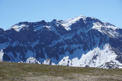DSC00639
