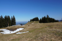DSC00640