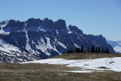 DSC00641