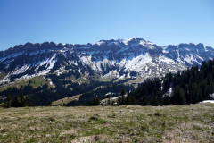 DSC00642