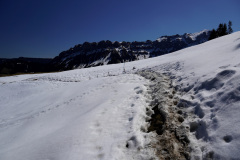 DSC00647