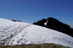 DSC00650
